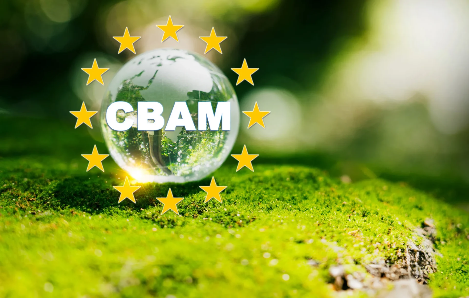CBAM lettering inside a circle of EU stars over a green natural background